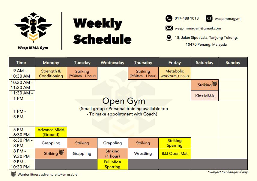 Wasp MMA Timetable Image